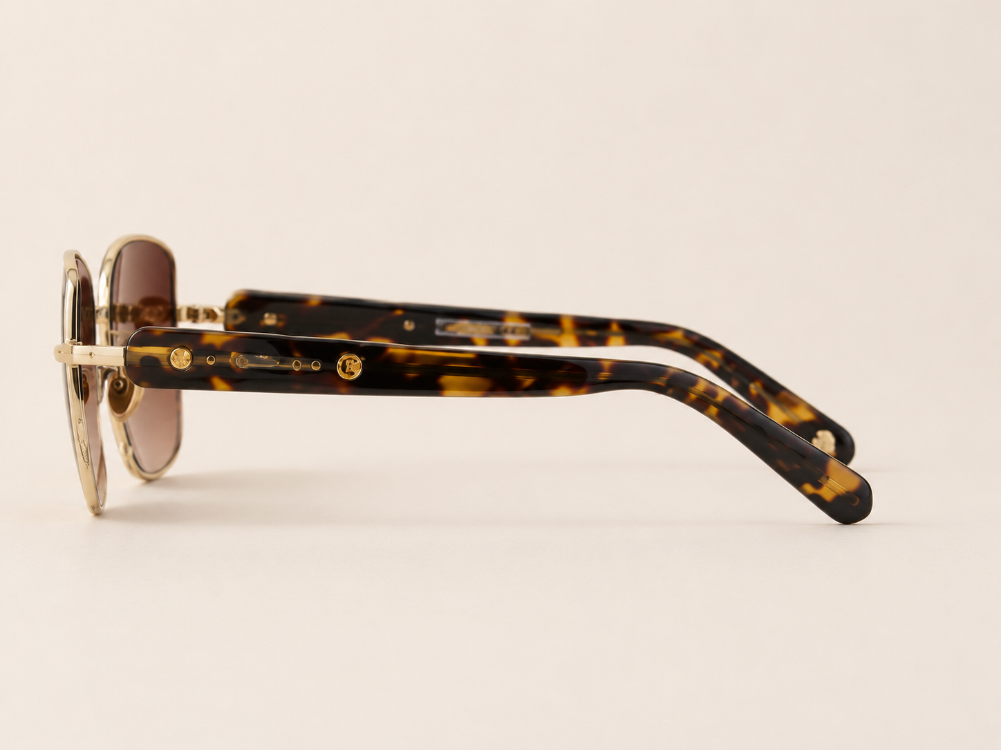 Polo Gradient Brown - Figura 3