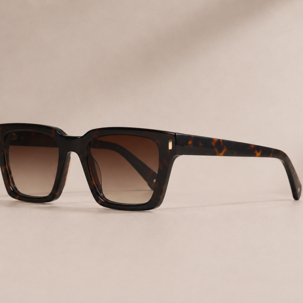 Alternative view of Polo Square Tortoise