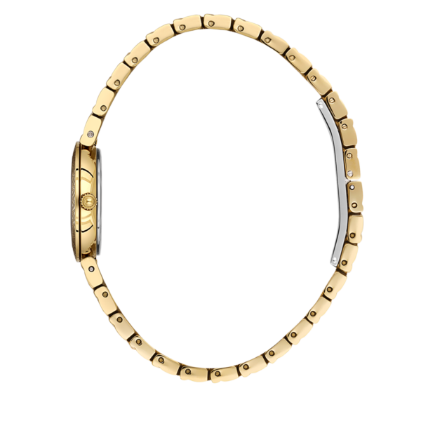 Alternative view of Valentino Orlandi All Gold